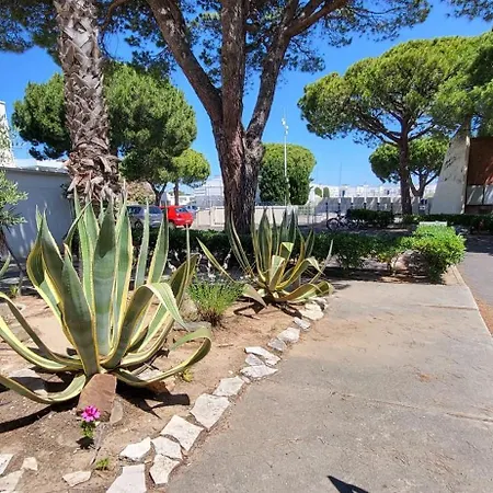 Holiday home Marina Blue Belle Vue Sur Les Bateaux Terrasse Et Jardin *